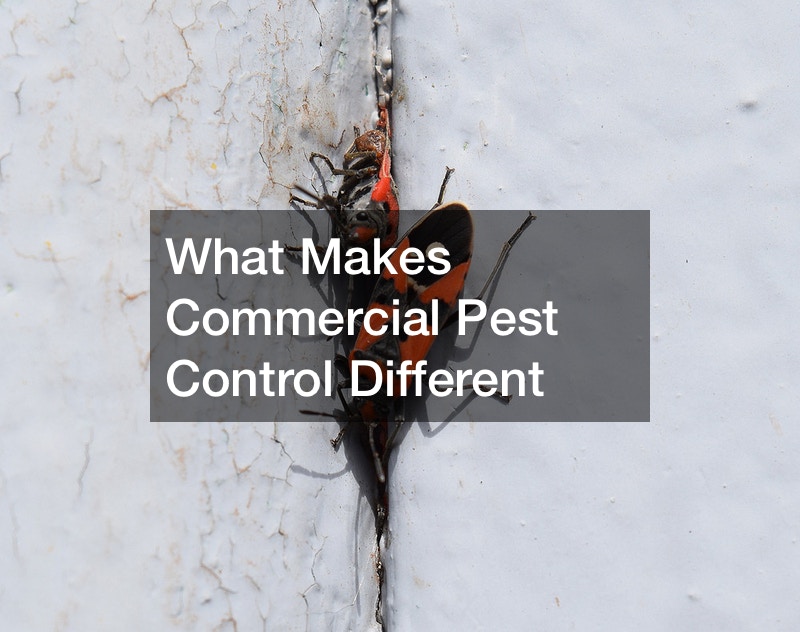 What Makes Commercial Pest Control Different