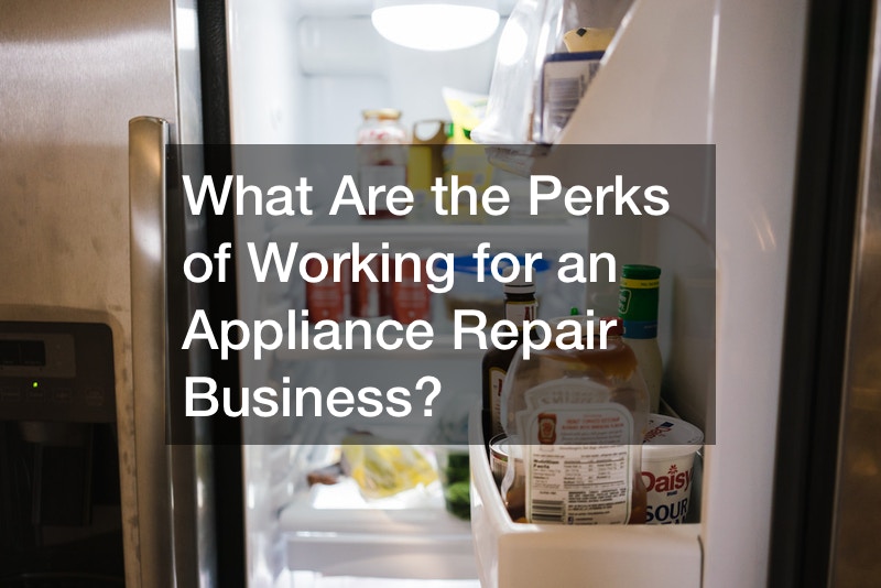 What Are the Perks of Working for an Appliance Repair Business?