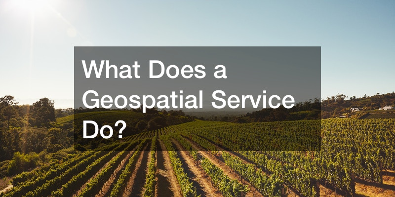 What Does a Geospatial Service Do?